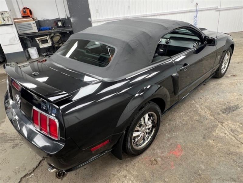 ford Mustang 2007 - 24