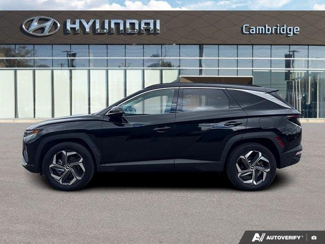 hyundai Tucson hybride 2022 - 2