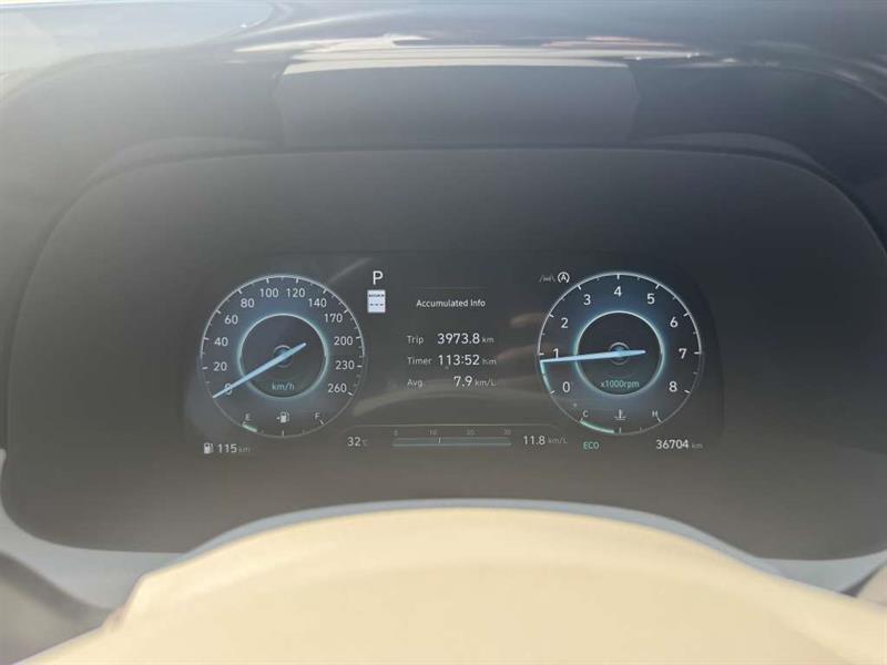 hyundai Palisade 2024 - 18