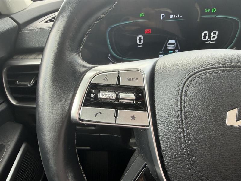 kia Telluride 2024 - 15