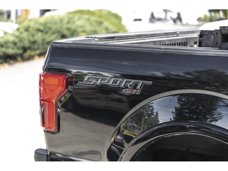 ford F-150 2019 - 13