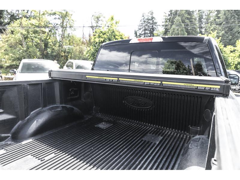 ford F-150 2019 - 14