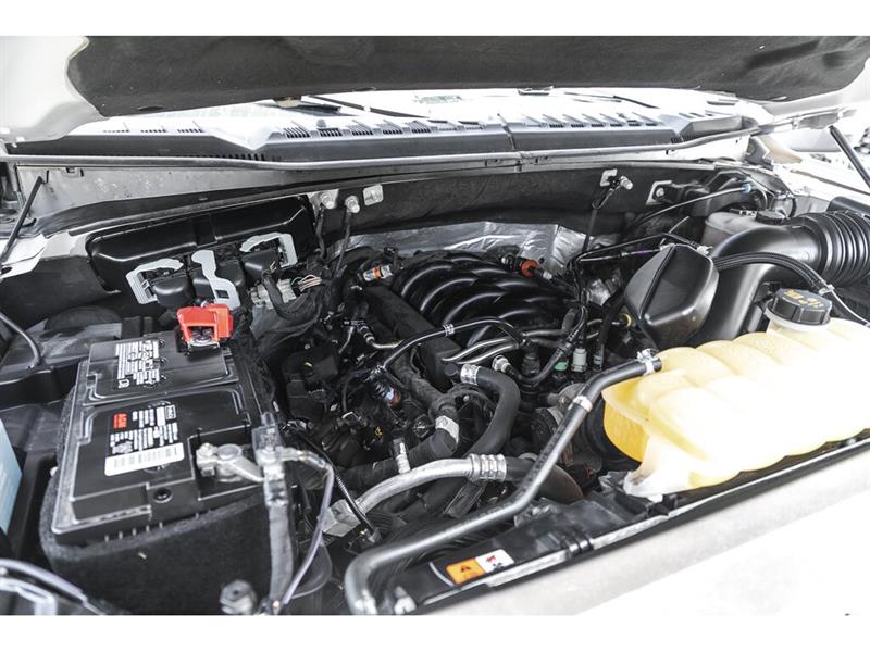 ford F-150 2020 - 13