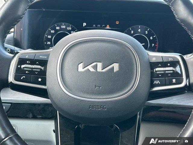 kia Carnival 2024 - 19