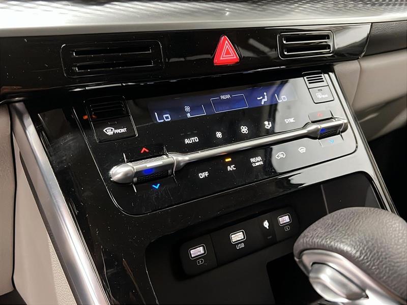 kia Carnival 2024 - 16