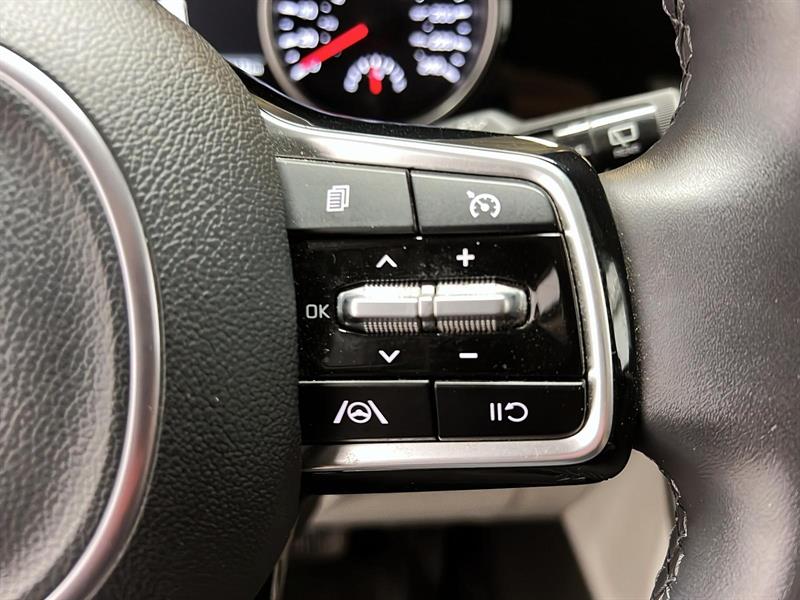 kia Carnival 2024 - 20