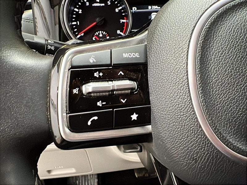kia Carnival 2024 - 21