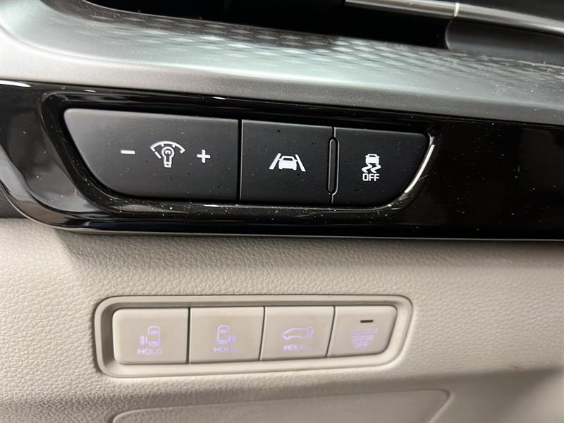 kia Carnival 2024 - 22