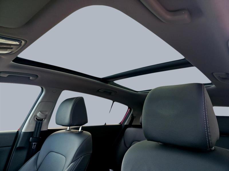 kia Sportage 2022 - 14