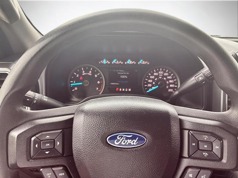 ford F-150 2020 - 14