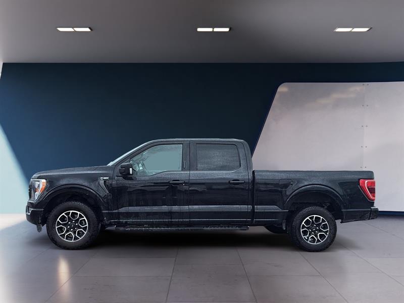 ford F-150 2023 - 2