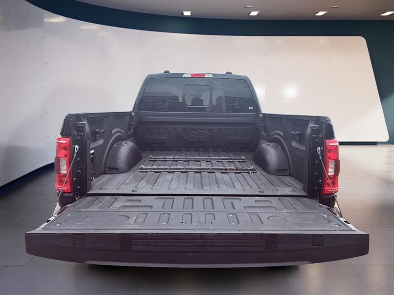 ford F-150 2021 - 17
