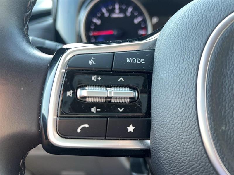 kia Carnival 2024 - 17