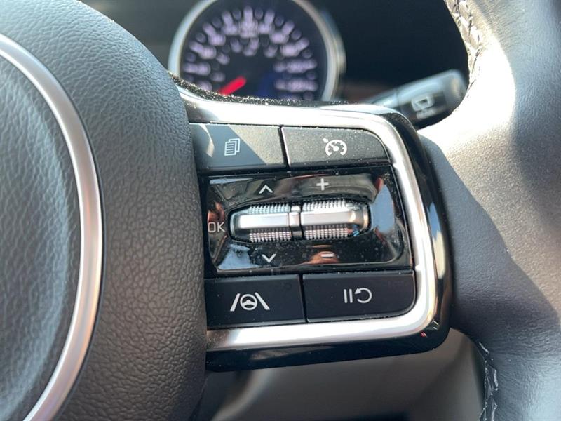 kia Carnival 2024 - 19
