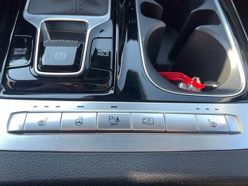 kia Carnival 2024 - 28