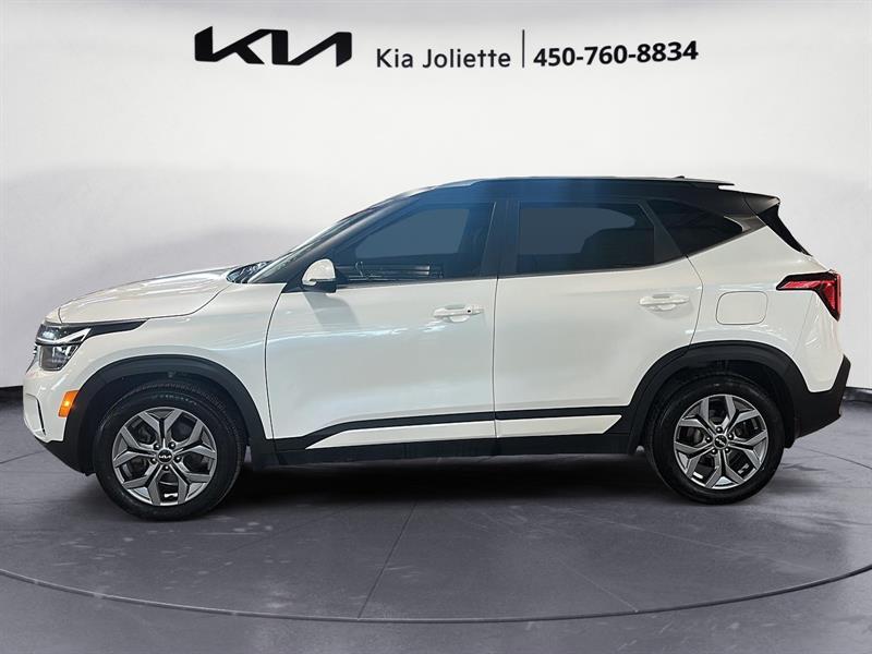 kia Seltos 2024 - 2