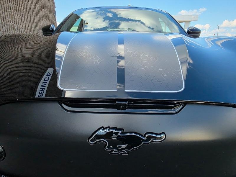 ford Mustang Mach-E 2025 - 13