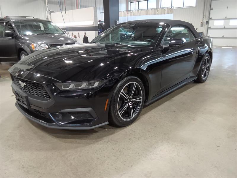 ford Mustang 2024