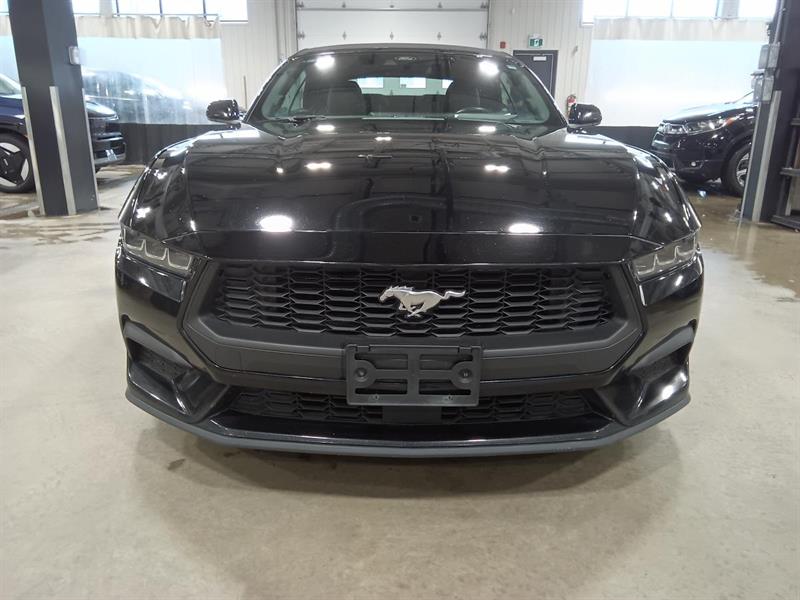 ford Mustang 2024 - 4