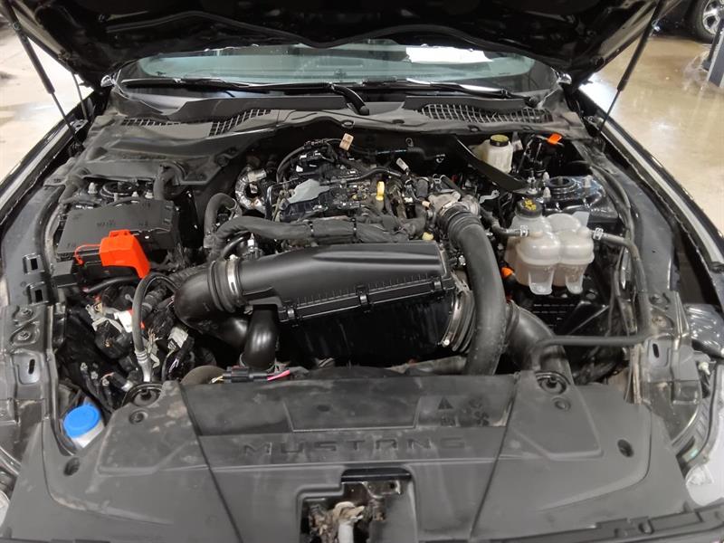 ford Mustang 2024 - 7