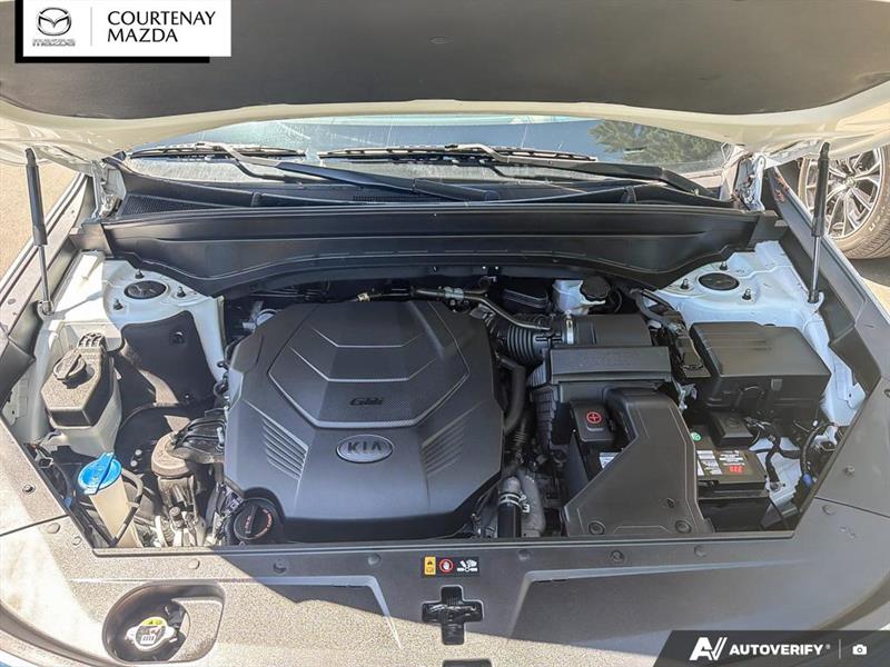 kia Telluride 2020 - 24