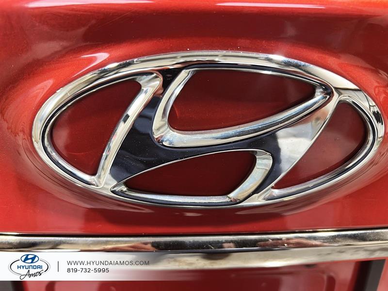 hyundai Santa Fe 2020 - 7