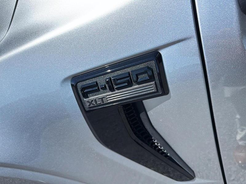 ford F-150 2025 - 7