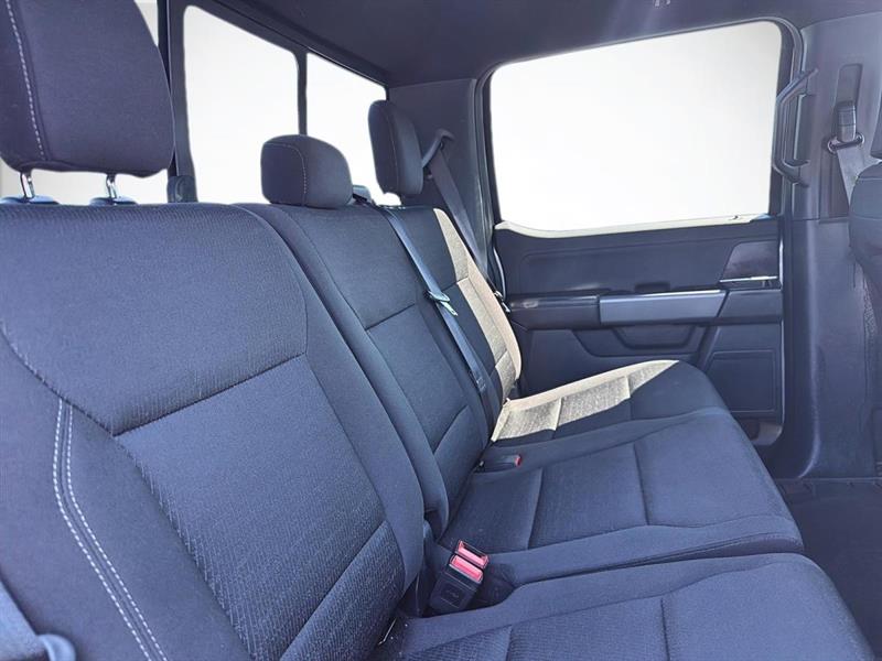 ford F-150 2025 - 10