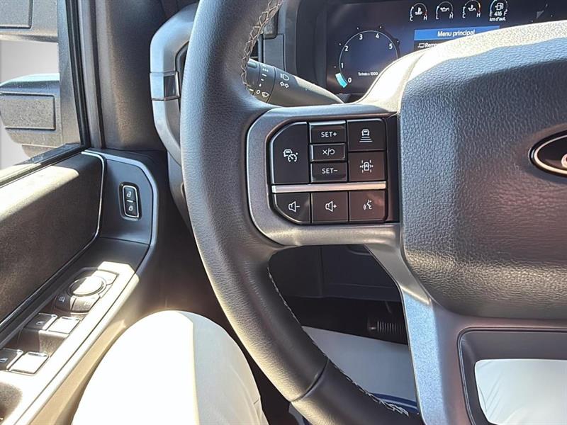 ford F-150 2025 - 14