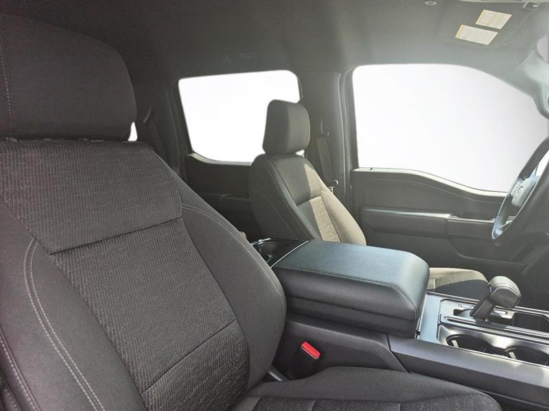 ford F-150 2024 - 3