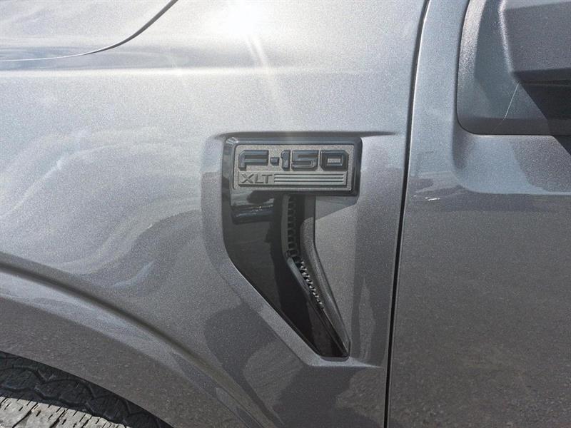 ford F-150 2024 - 11