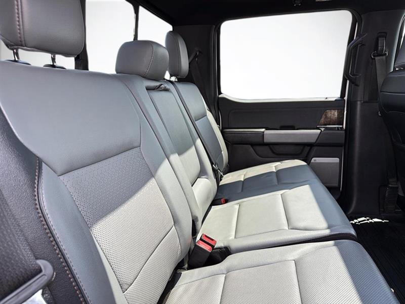 ford F-150 Lightning 2023 - 11