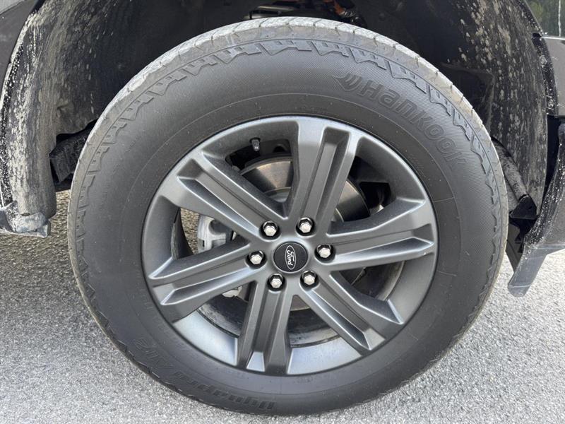 ford F-150 2023 - 13