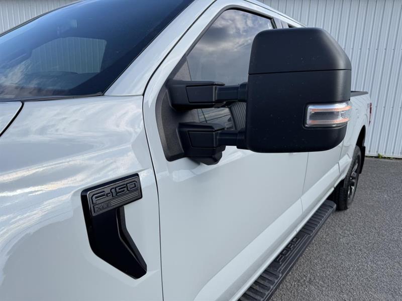 ford F-150 2024 - 10