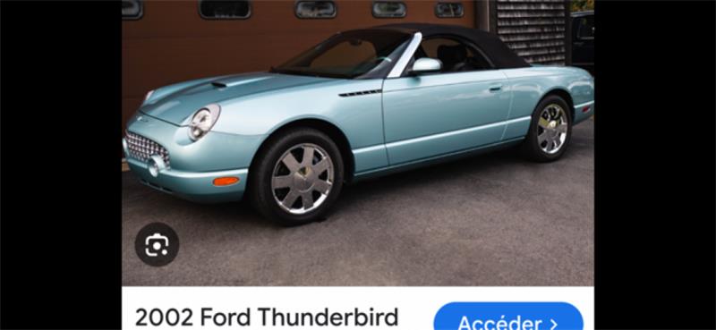 ford Thunderbird 2002 - 24