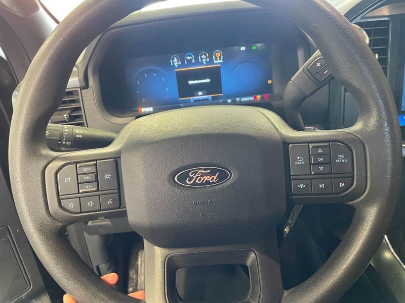 ford F-150 2025 - 13
