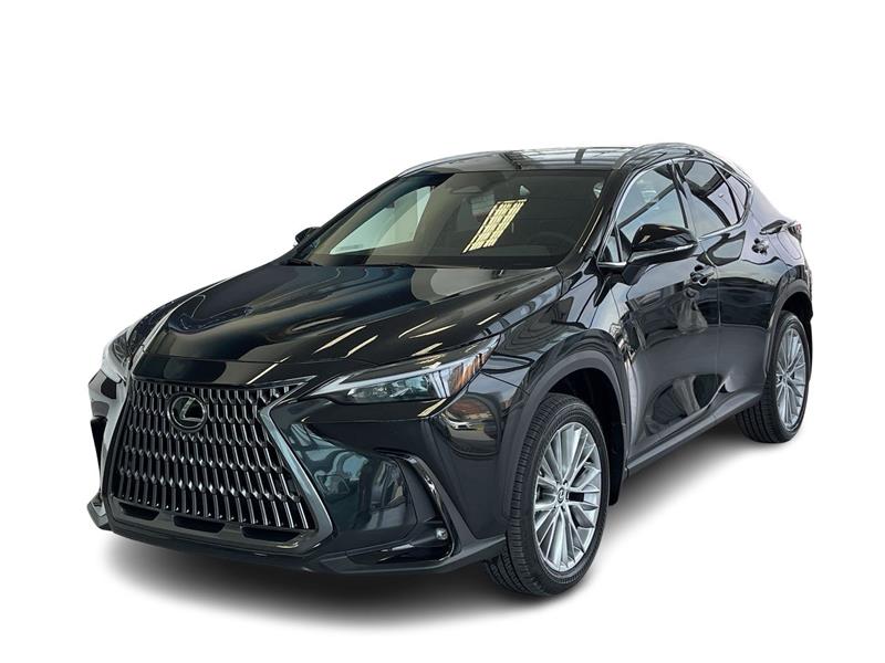 lexus NX 2024