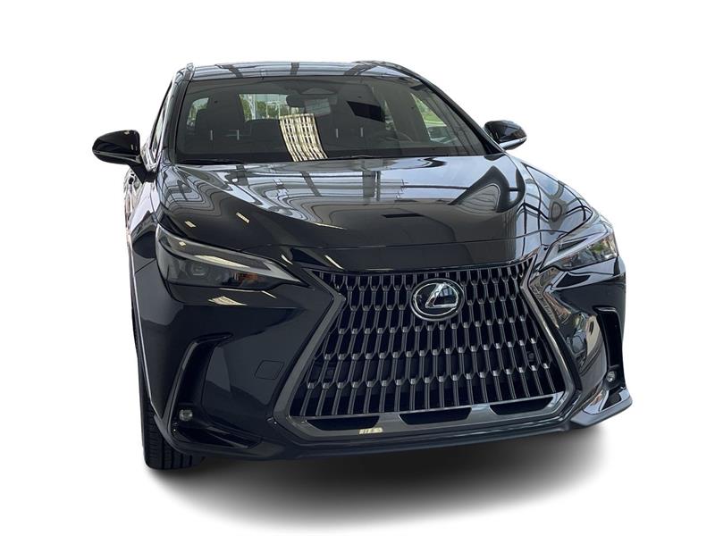 lexus NX 2024 - 2