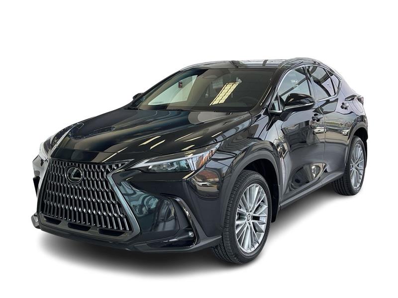 lexus NX 2024 - 5