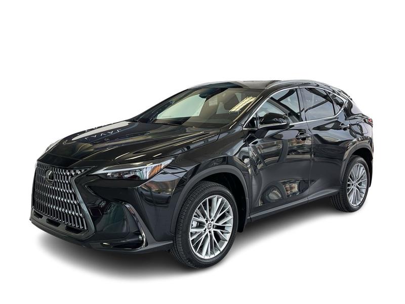 lexus NX 2024 - 6