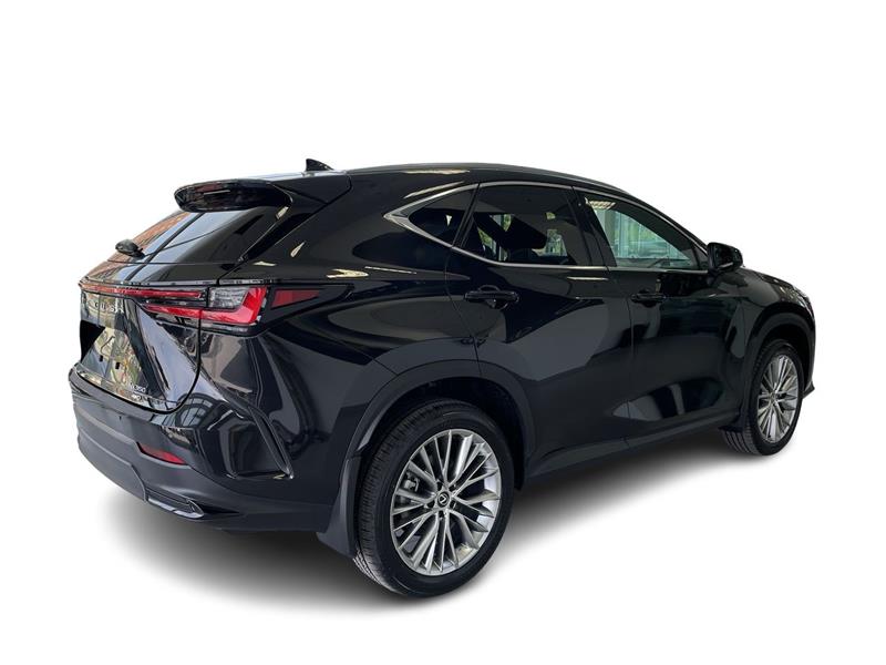 lexus NX 2024 - 14
