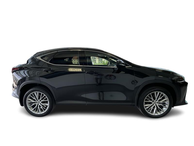 lexus NX 2024 - 15