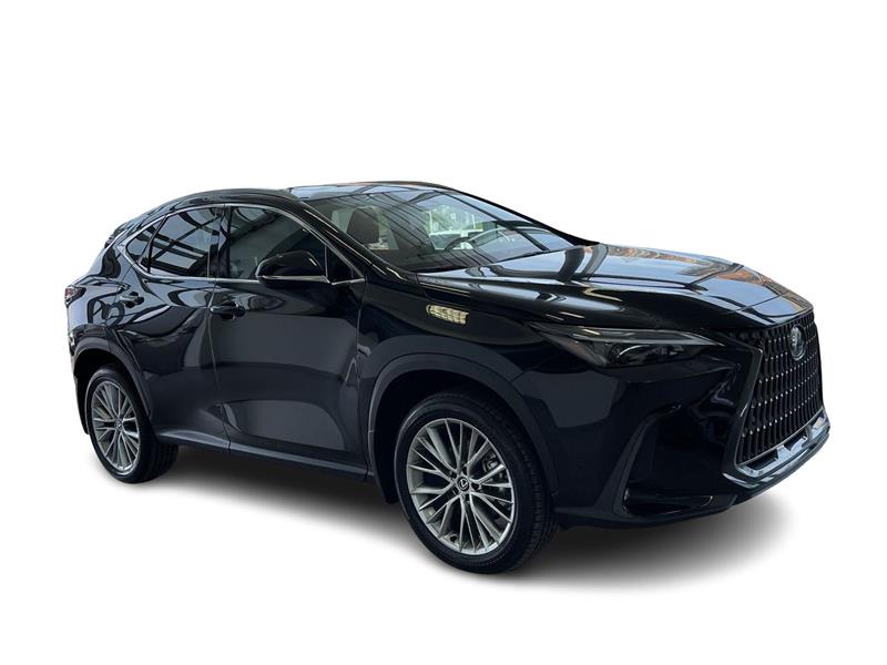 lexus NX 2024 - 16