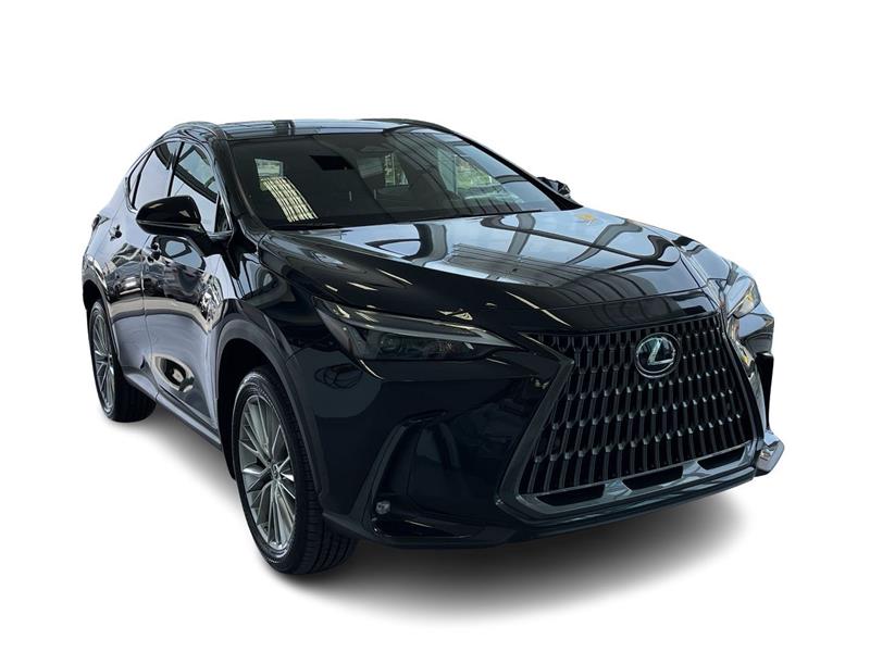lexus NX 2024 - 17