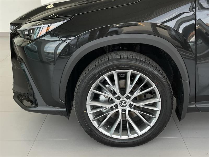 lexus NX 2024 - 18