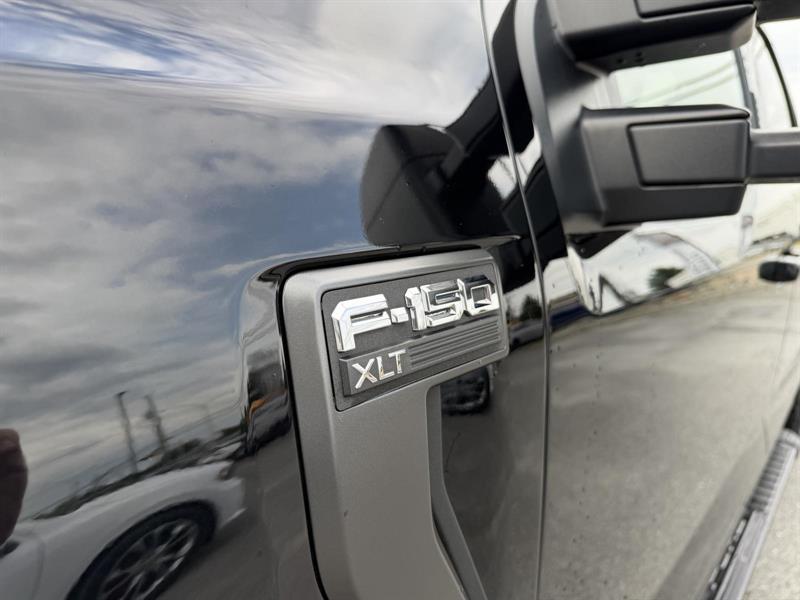 ford F150 2021 - 10