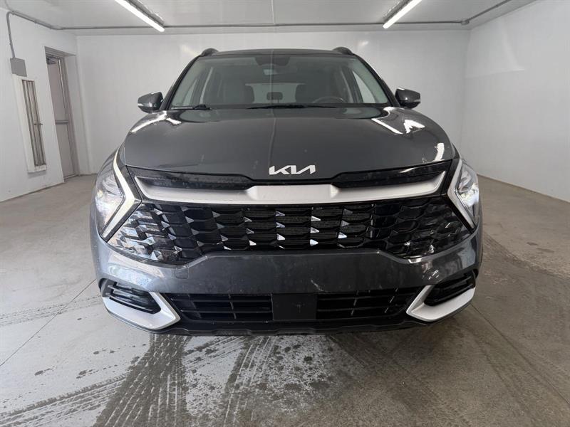 kia Sportage 2024 - 2