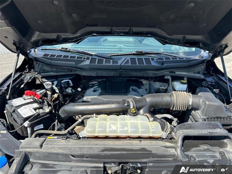 ford F-150 2023 - 13