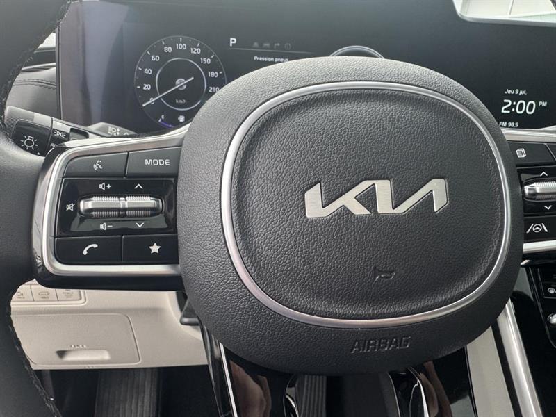 kia Carnival 2024 - 14