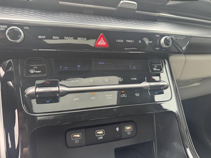 kia Carnival 2024 - 19
